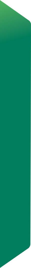 section6_green